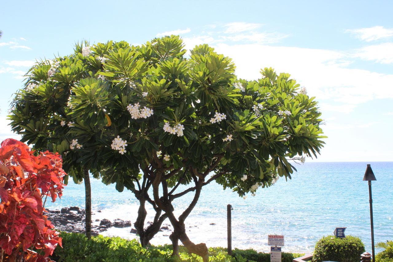 Kuleana Resort 618 Lahaina Extérieur photo